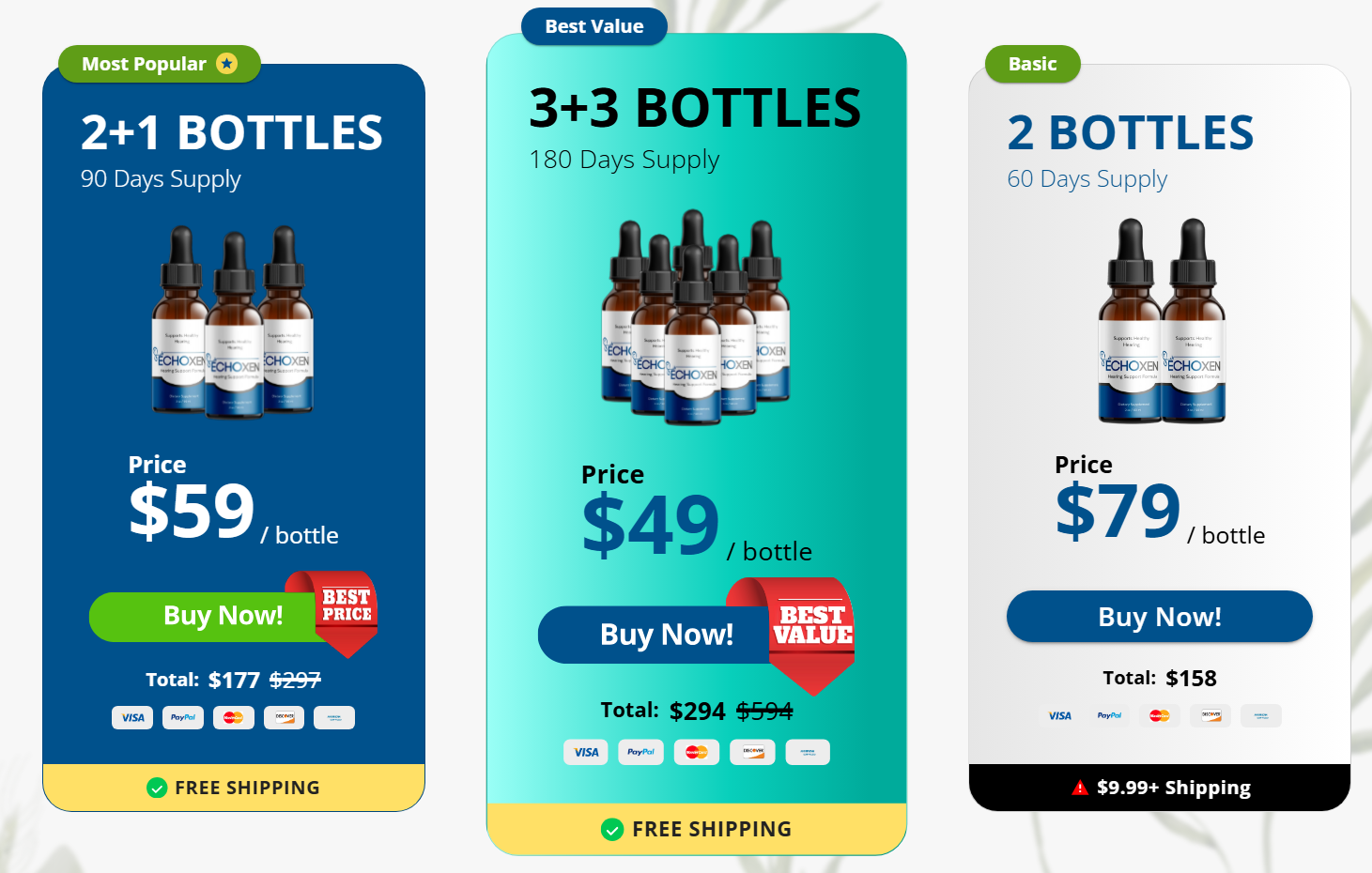 EchoXen Pricing Table